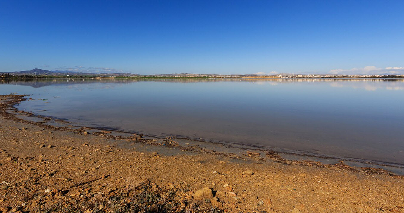 Larnaca Salt Lake, Cyprus